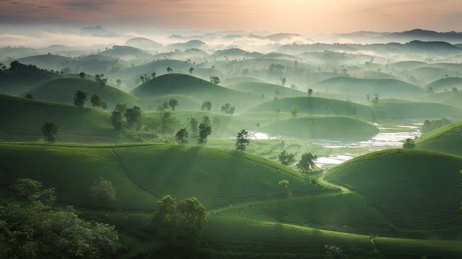 Affordable Stays and Food in Asia