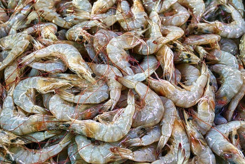 Bergen Fish Market