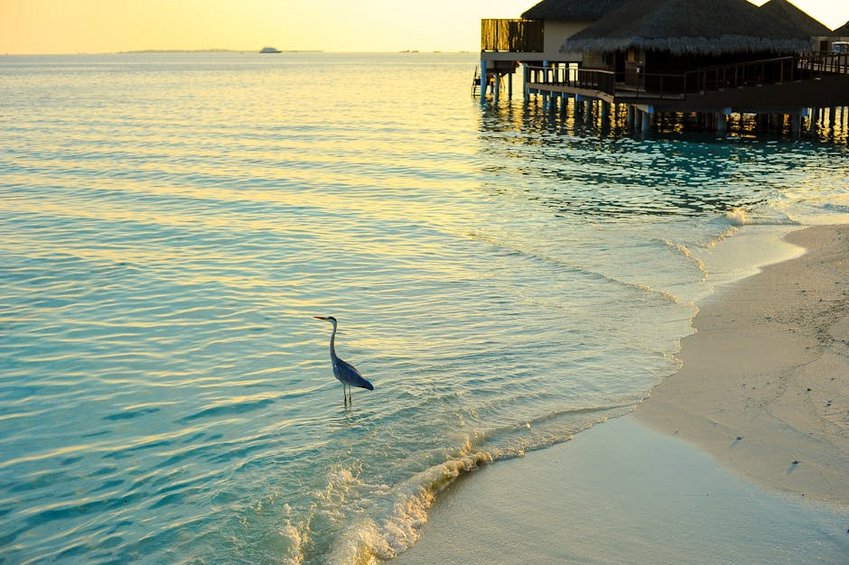 Bungalow Holidays in Nature