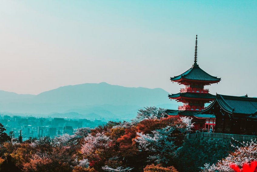 Cherry Blossom Season in Kyoto