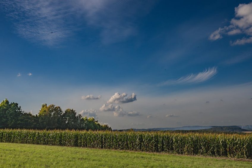Farm Harvest Experience