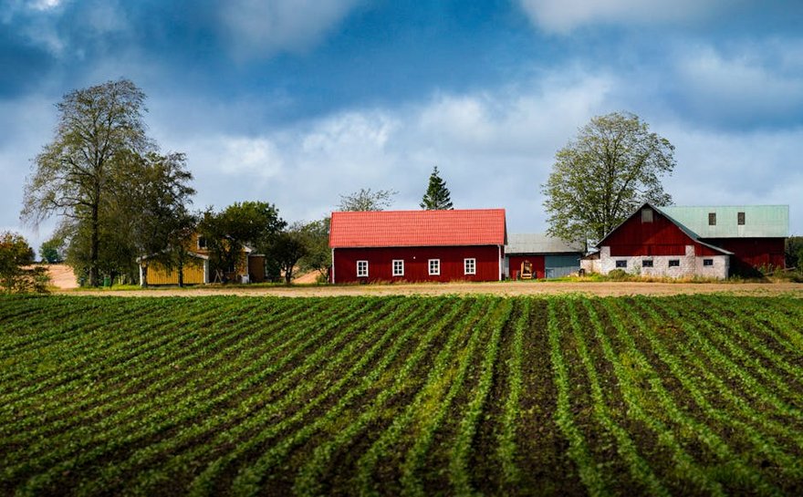 Farm Harvest Experience