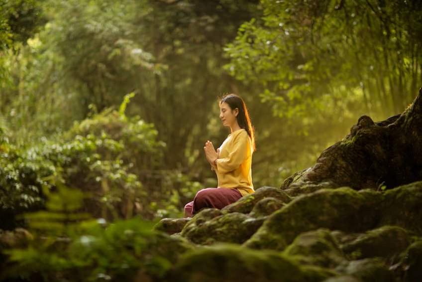 Forest Yoga and Swim Retreats