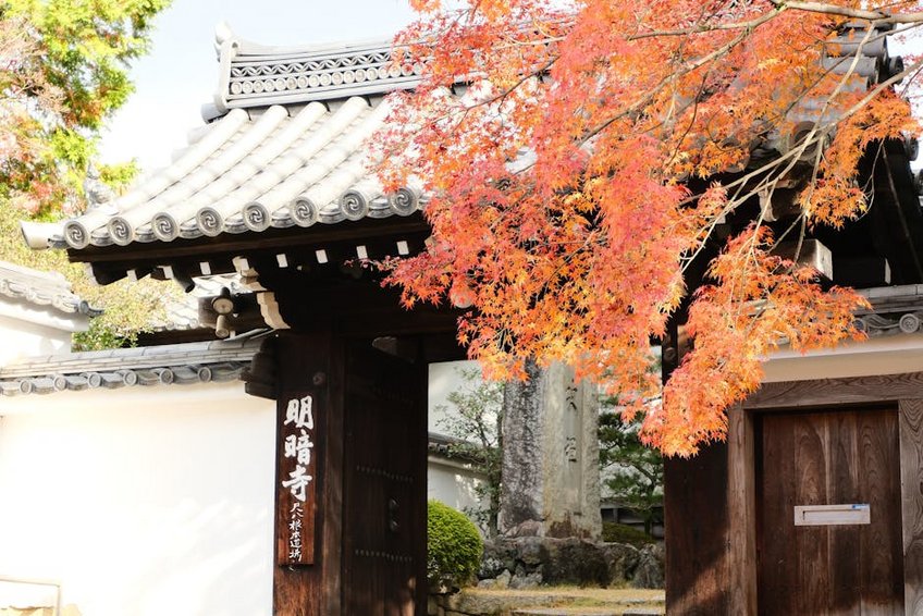 Kyoto Autumn Temples