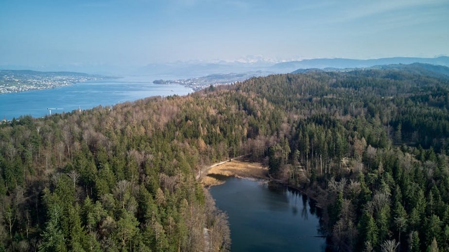 Lake Zurich