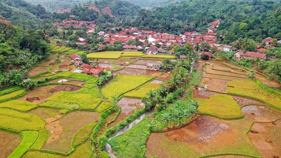 Remote Rice Village Stay in Indonesia