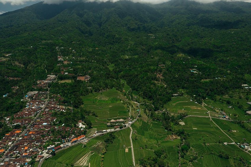 Remote Rice Village Stay in Indonesia