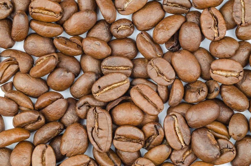 Seed Collection and Ecotourism