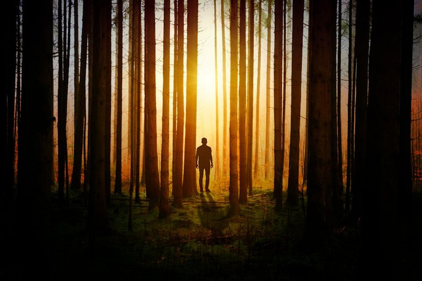 Silent Retreats and Nature Walks