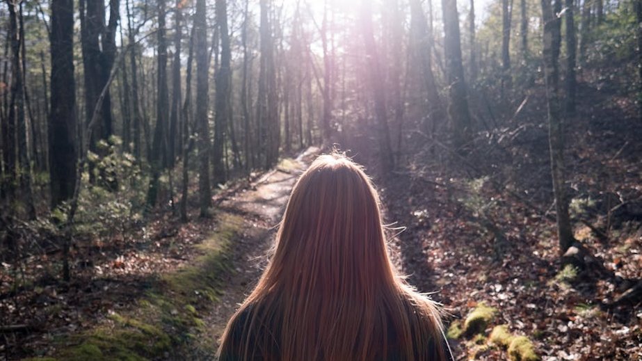 Southeast Hiking Trails