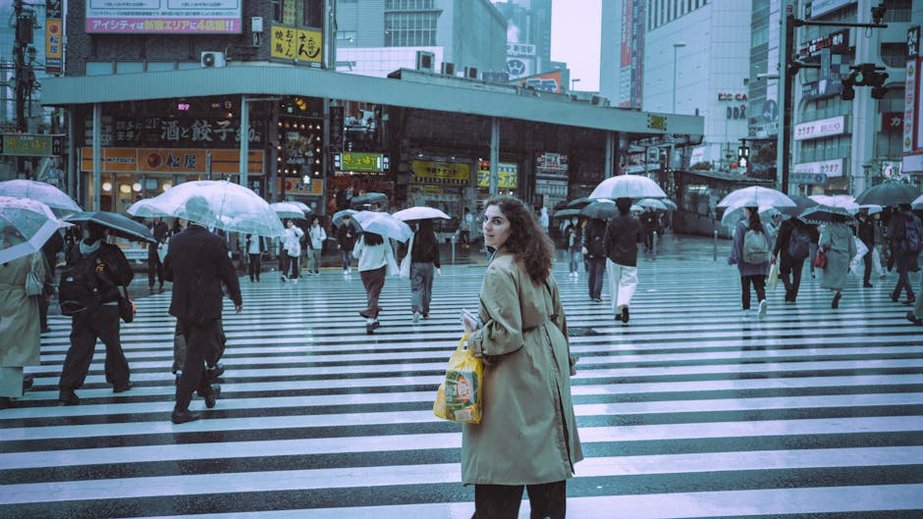 Tokyo Shibuya Crossing