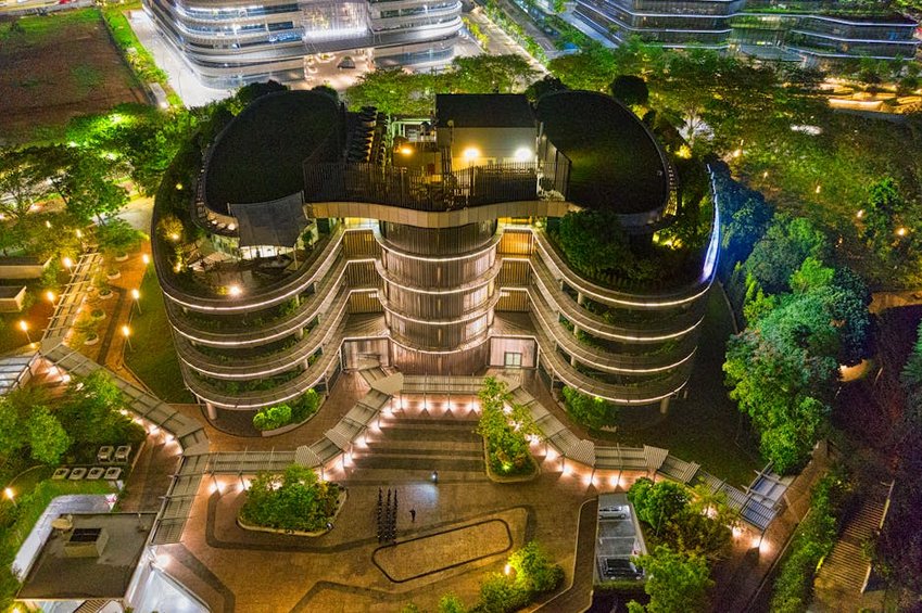 Urban Rooftop Gardens