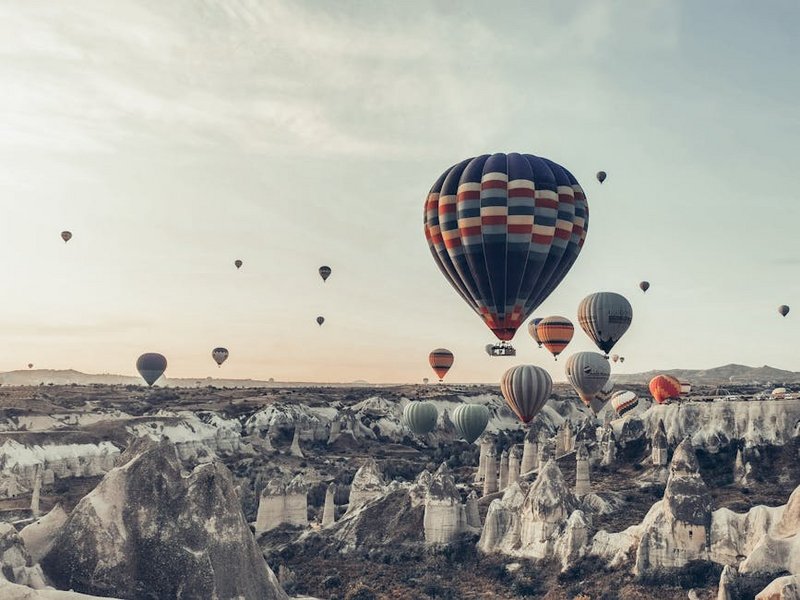 Vegan Travel European Vegan Hotspots