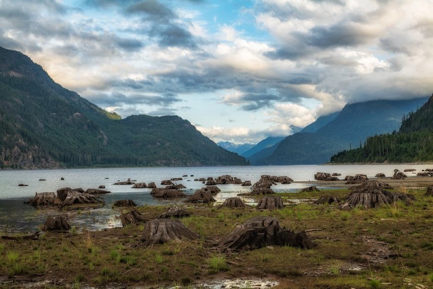 Wildlife Photo Safari on Canada’s Coasts