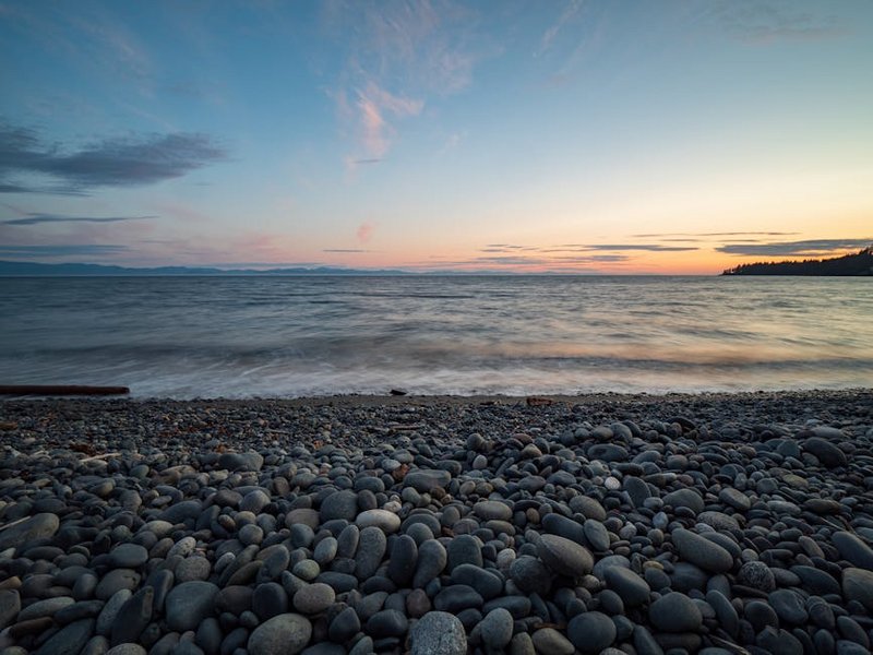 Wildlife Photo Safari on Canada’s Coasts