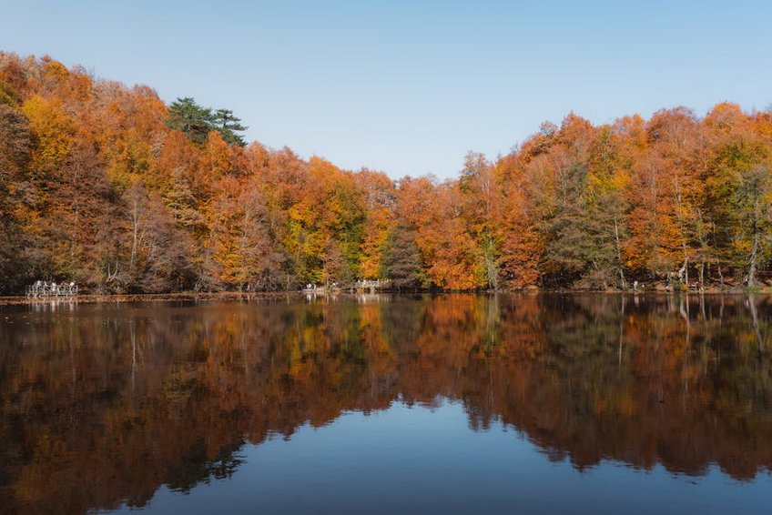 Yedigöller National Park