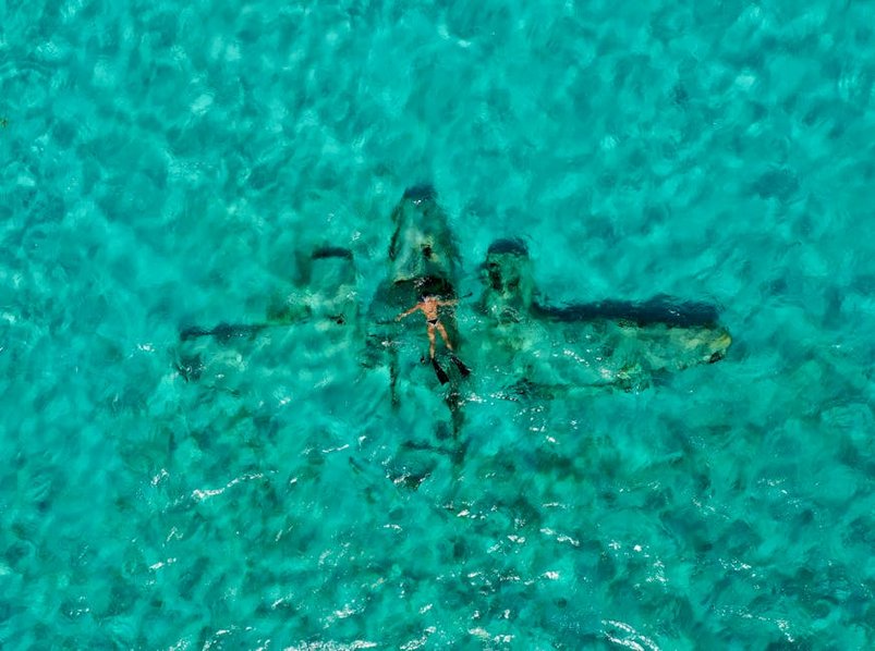 Bahamas Exuma Swimming Pigs