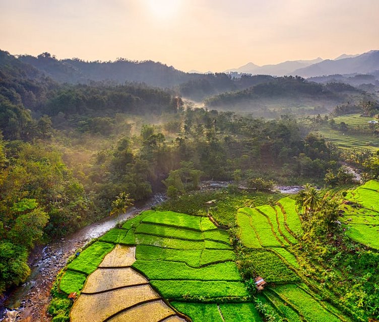 Bali Ubud Rice Terrace Sunrise