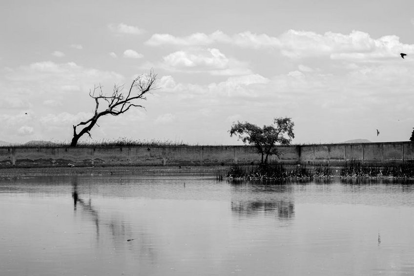 Djibouti Lake Assal Salt Formations
