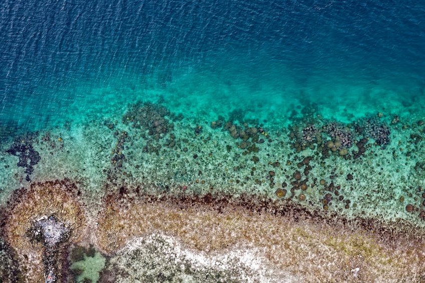 East Timor Atauro Island Coral Gardens
