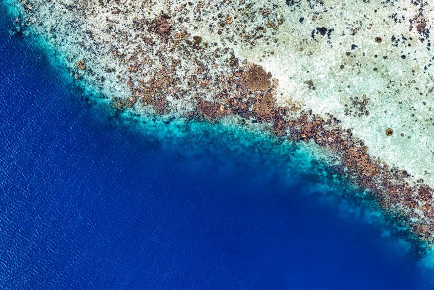 East Timor Atauro Island Coral Gardens