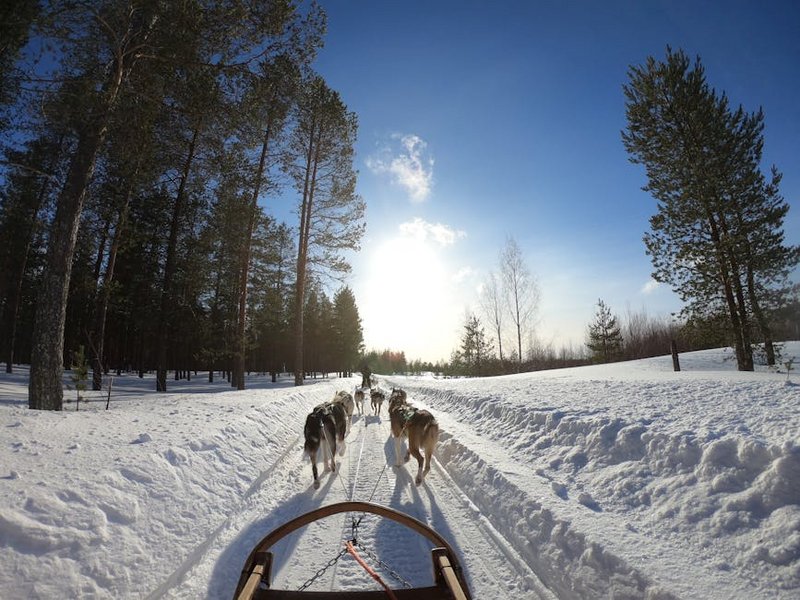 Finland Snow Hotel Accommodation
