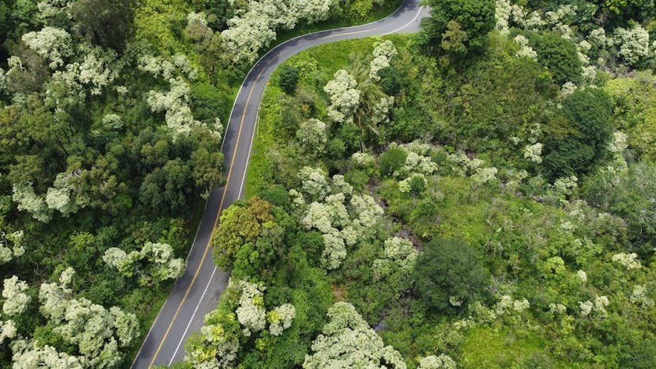 Hawaii Maui Road to Hana