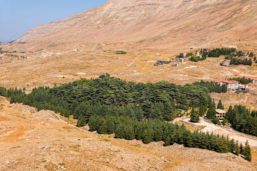Lebanon Cedars of God Forest
