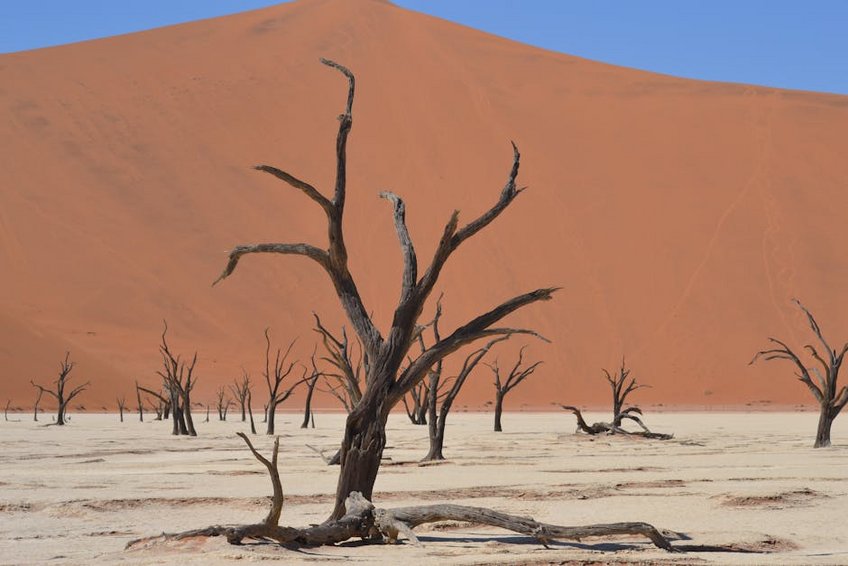 Namibia Sossusvlei Dune Climbing