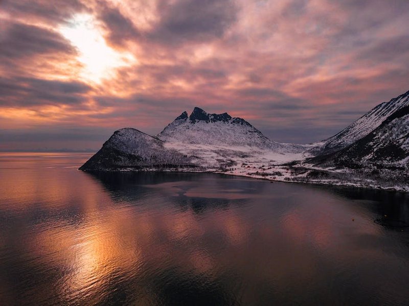 Norway Tromsø Whale Watching