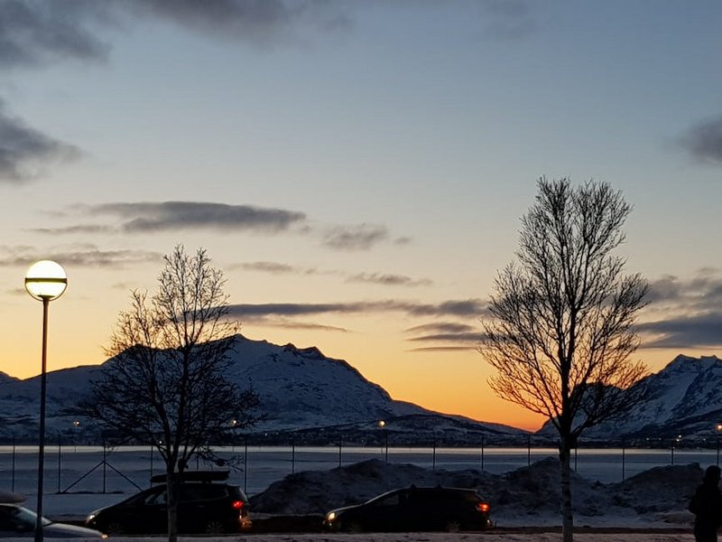 Norway Tromsø Whale Watching