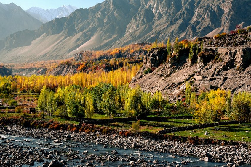 Pakistan Hunza Valley Apricot Blossom