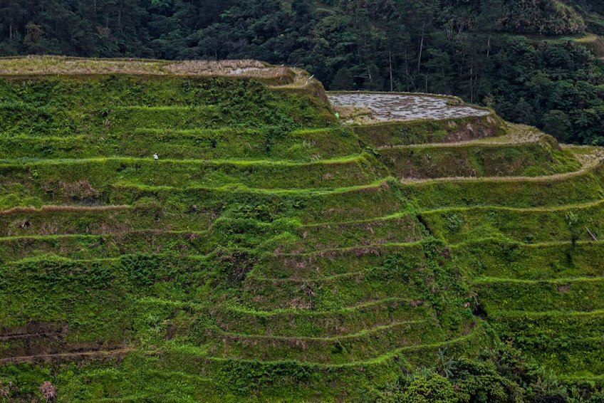 Philippines Banaue Rice Terraces