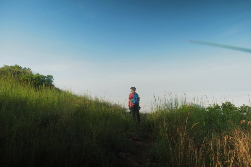 Rwanda Gorilla Trekking Experience