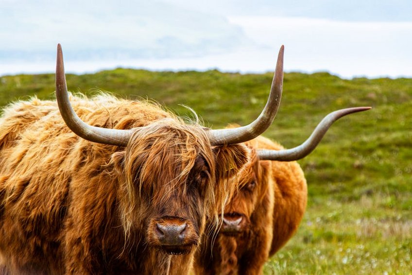 Scottish Highlands Whisky Trail