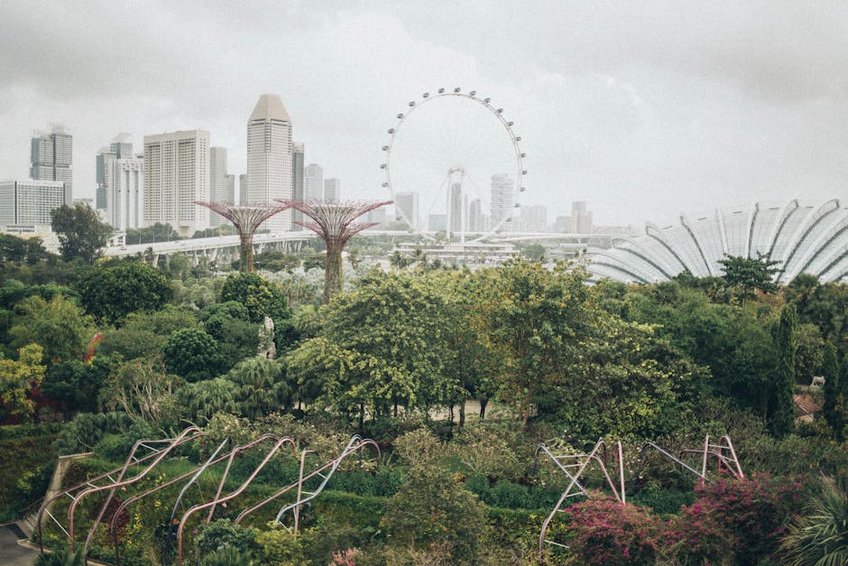 Singapore Gardens by the Bay Light Show
