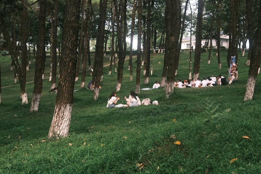 Suriname Brownsberg Nature Park