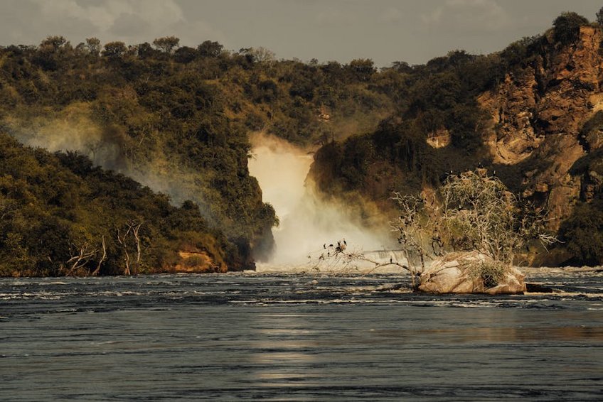 Uganda Bwindi Impenetrable Forest