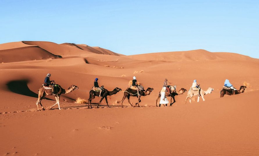 United Arab Emirates Liwa Desert Dunes