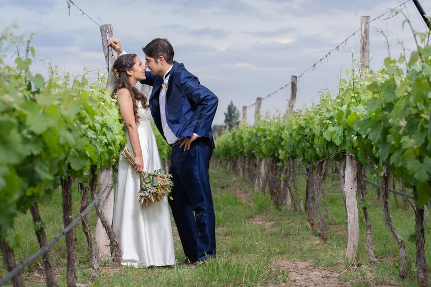 Argentina Mendoza Wine Region