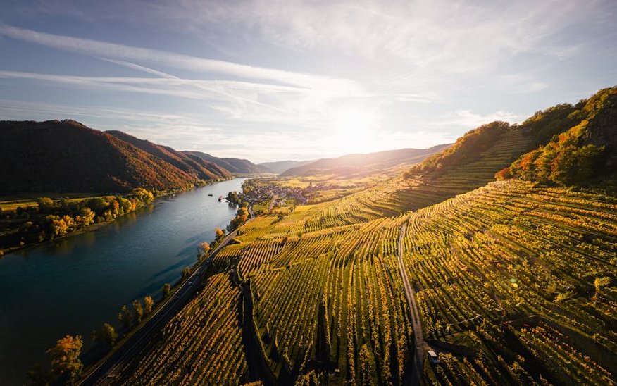 Austria Wachau Valley Vineyards