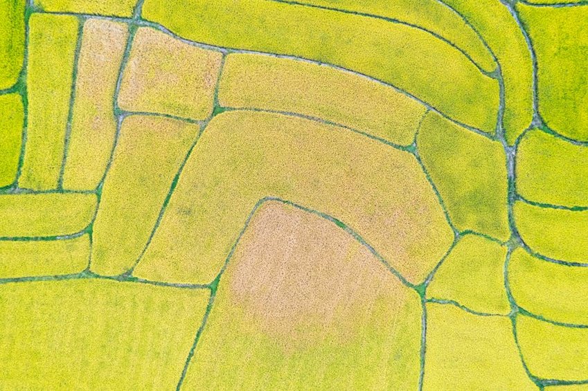 China Longji Rice Terraces