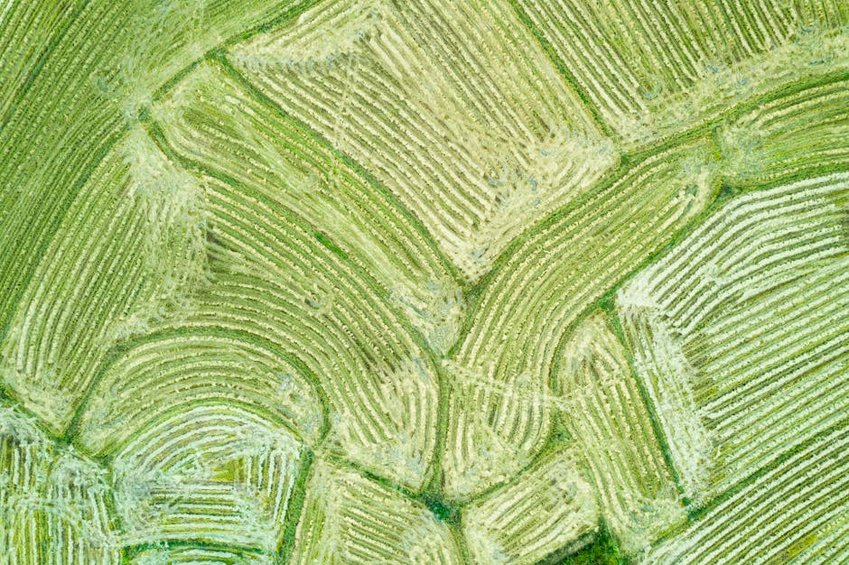 China Longji Rice Terraces