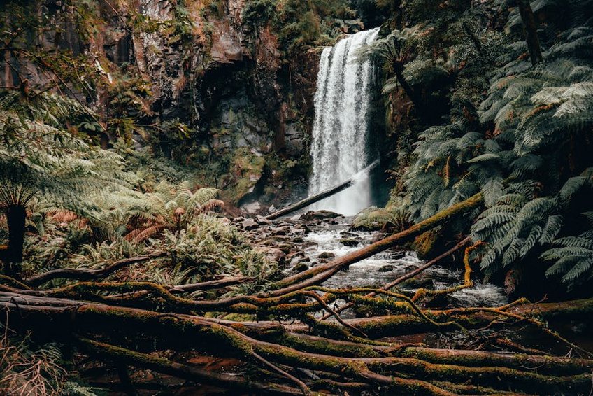 Jordan Dana Biosphere Reserve