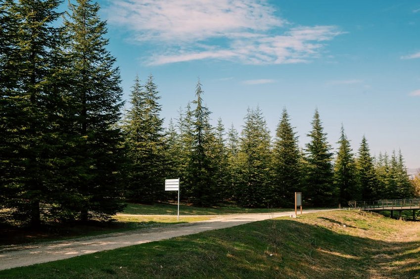 Luxembourg Mullerthal Trail