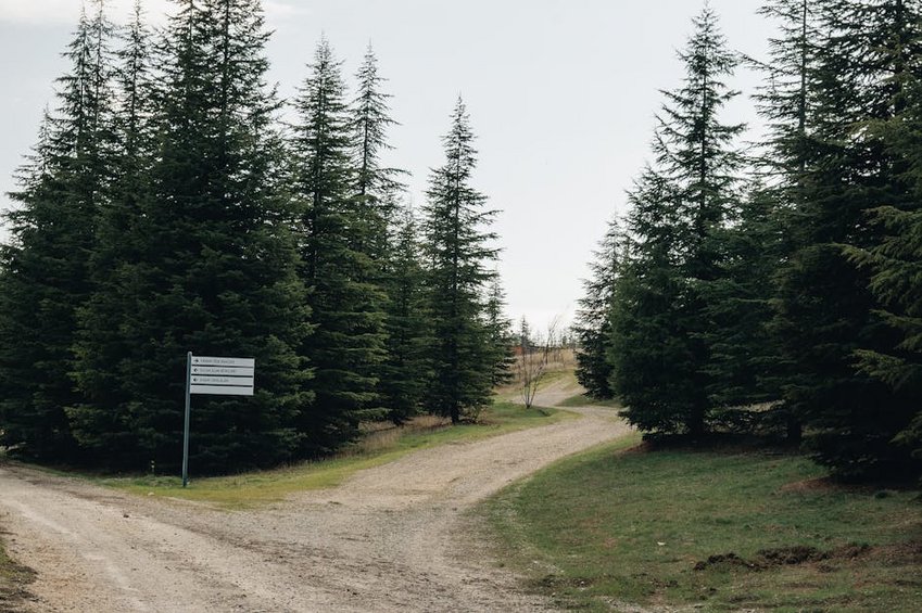 Luxembourg Mullerthal Trail