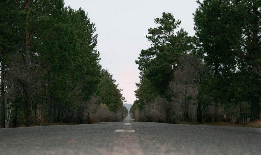 Mongolia Terelj National Park