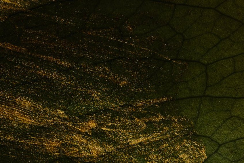 Myanmar Kyaiktiyo Golden Rock