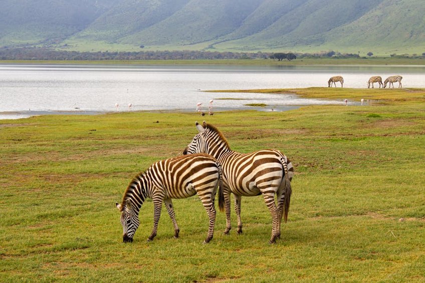 Tanzania Ngorongoro Crater