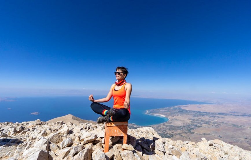 Turkey Lake Van Cat House